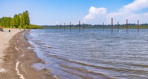 Clark County Public Health has issued a danger advisory for Vancouver Lake after test results revealed elevated levels of cyanotoxins in the water.
