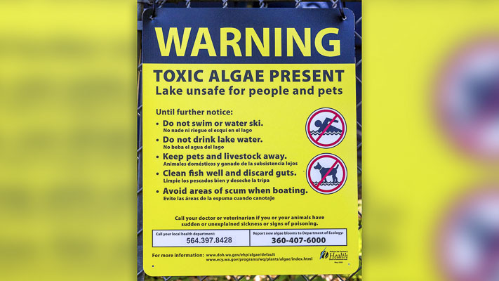 Clark County Public Health is advising against all recreating in Lacamas, Round and Vancouver lakes.