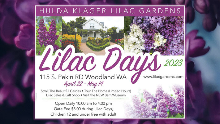 The Hulda Klager Lilac Gardens in Woodland will be the site of Lilac Days 2023 from Sat., April 22 through Sun., May 14 at the Lilac Gardens located at 115 S. Pekin Road, Woodland.