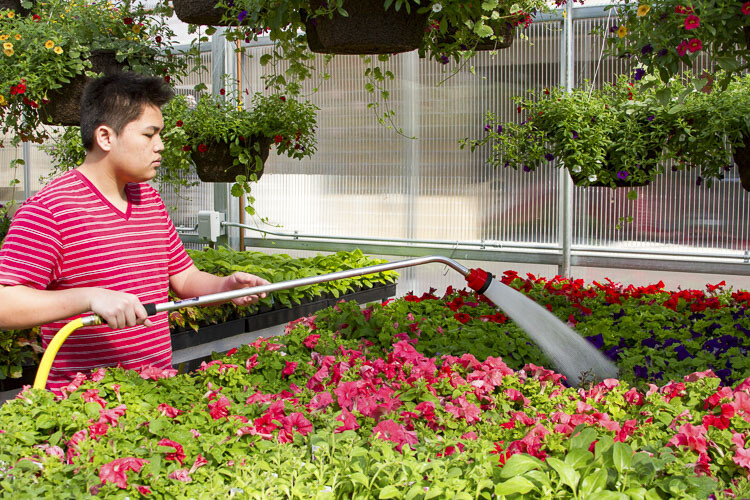 Horticulture students learn every step of growing plants from seed germination to helping them grow to adulthood. Photo courtesy Woodland School District