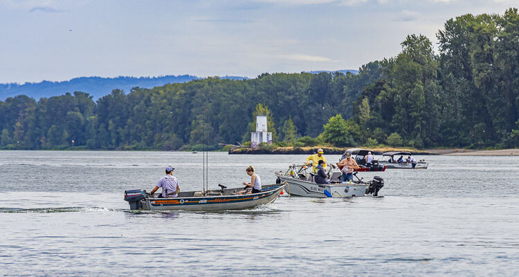 Summer salmon and steelhead fishing on the Columbia River in Washington state will be open from June 16 to July 31, with higher forecasted returns compared to the previous year, according to the Washington Department of Fish and Wildlife.