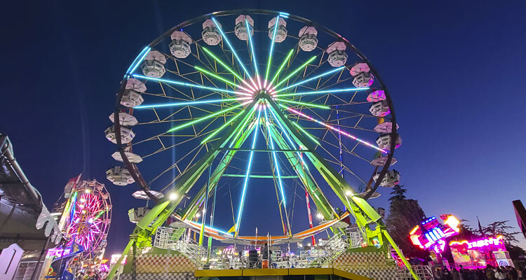 Where Fun Meets Farm is the theme for this year’s Clark County Fair, which begins its 10-day run on Friday, Aug. 4, featuring wizards, dogs, livestock, rides, concerts, and more.