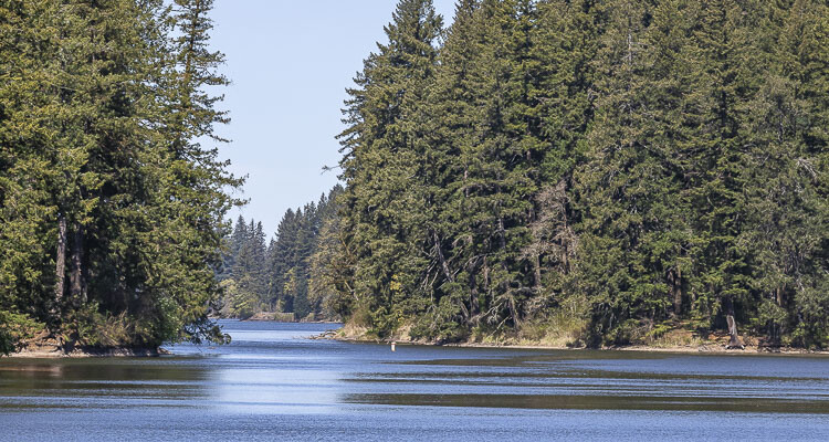 Clark County Public Health issues warning advisory for Lacamas Lake due to elevated levels of cyanotoxins from harmful algae, recommending no swimming, water contact for animals, avoidance of scum areas, no drinking of lake water, and thorough cleaning of fish, while continuing to monitor the lake and other affected bodies of water.