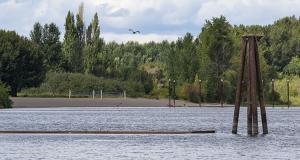 Clark County Public Health issues warning advisory at Vancouver Lake due to elevated levels of cyanotoxins from harmful algae, posing health risks for people and small pets. The warning advisory at Lacamas Lake also remains in place.