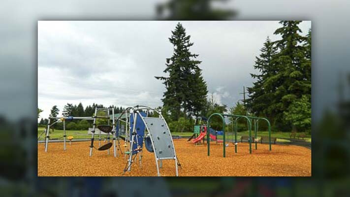 The Parks and Lands division of Clark County Public Works is beginning a project to improve tree health and address hazardous trees at Pacific Community Park.