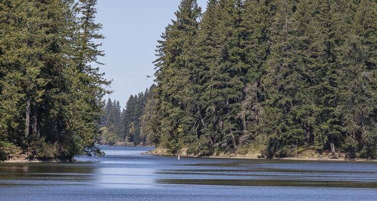 Clark County Public Health has lifted its advisory at Lacamas Lake. Water samples collected from the lake show water quality has improved over the last two weeks and toxin levels are no longer elevated.