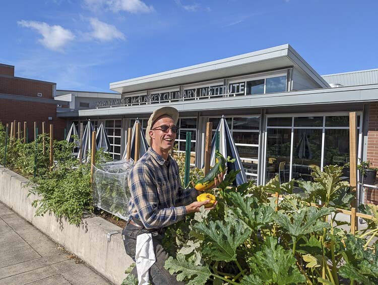 Chef Sonny Martini is shown here harvesting squash from the kitchen garden at Clark College. Photo courtesy Clark College