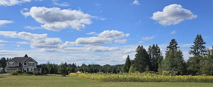 The Hockinson Homegrown Highway has many views just like this one. Photo by Paul Valencia