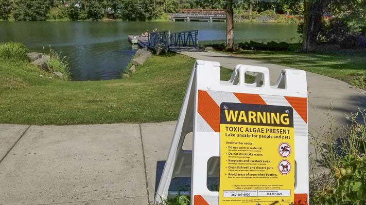 Clark County Public Health officials recommend no swimming and no water contact for pets at Lacamas Lake after water samples show elevated levels of cyanotoxins.