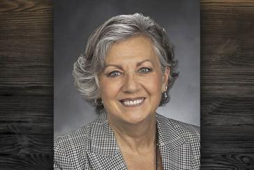 Sen. Lynda Wilson encouraged by proposal with strong lean toward addressing public-safety concerns