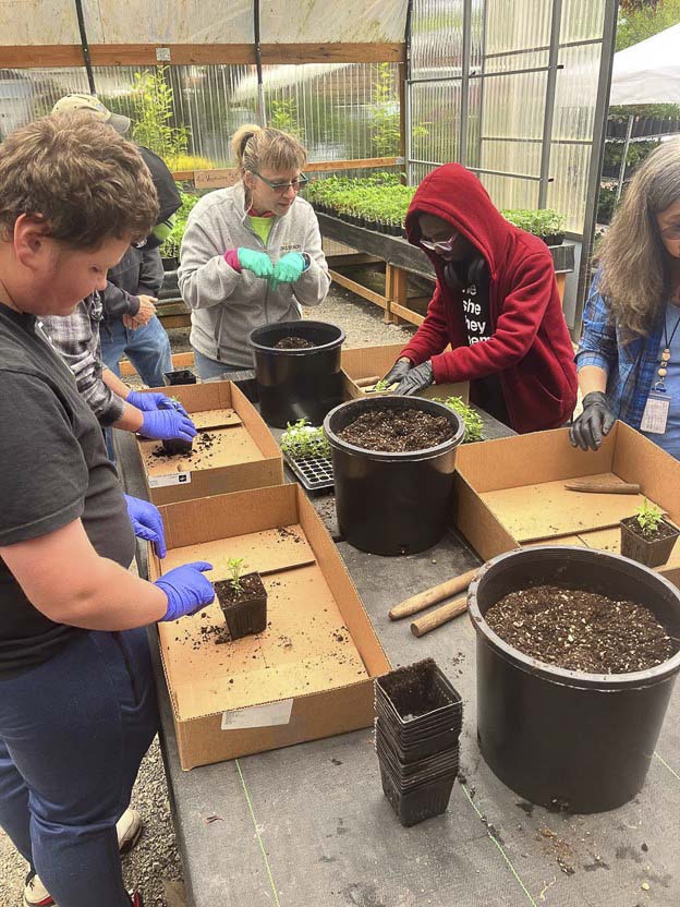 Nicholas Maloney and Jason Meulton learn how to prepare seed starts at Hayes Family Growers. Photo courtesy Washougal School District