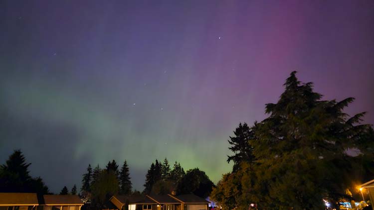 We needed to use night mode on this camera phone to capture all the lights, but even with the naked eye, we could see some colors of the Northern Lights in our neighborhood in east Vancouver. Photo courtesy Jenny Valencia