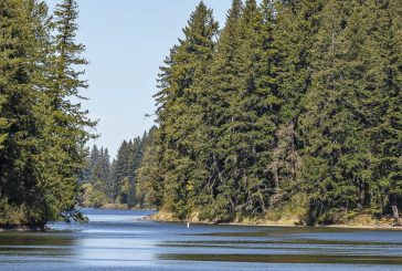 Public Health issues warning for Lacamas Lake due to elevated toxin levels