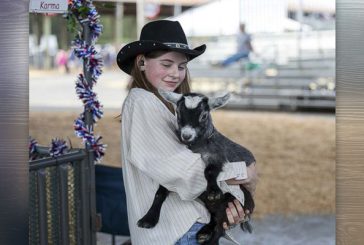 Here’s what’s happening at the Clark County Fair on Sunday, Aug. 4