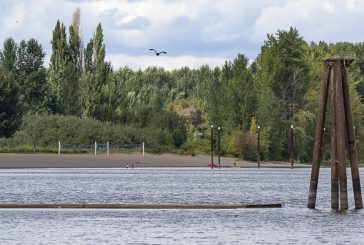 Second algae treatment scheduled for Vancouver Lake swim beach on Aug. 2