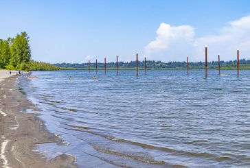 Public Health lifts algae advisory at Vancouver Lake