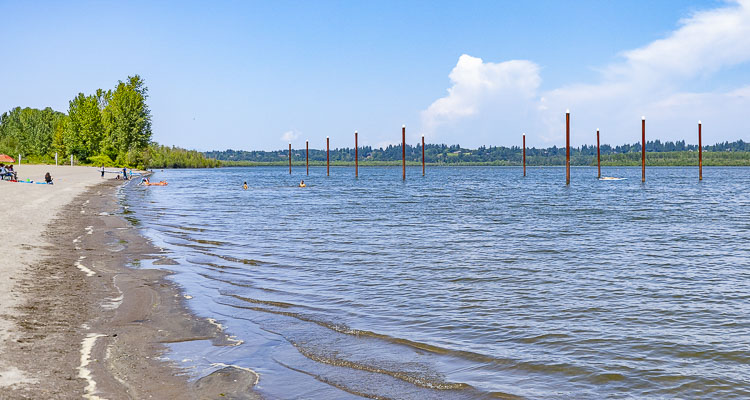 Public Health lifts algae advisory at Vancouver Lake as toxin levels drop below state thresholds.