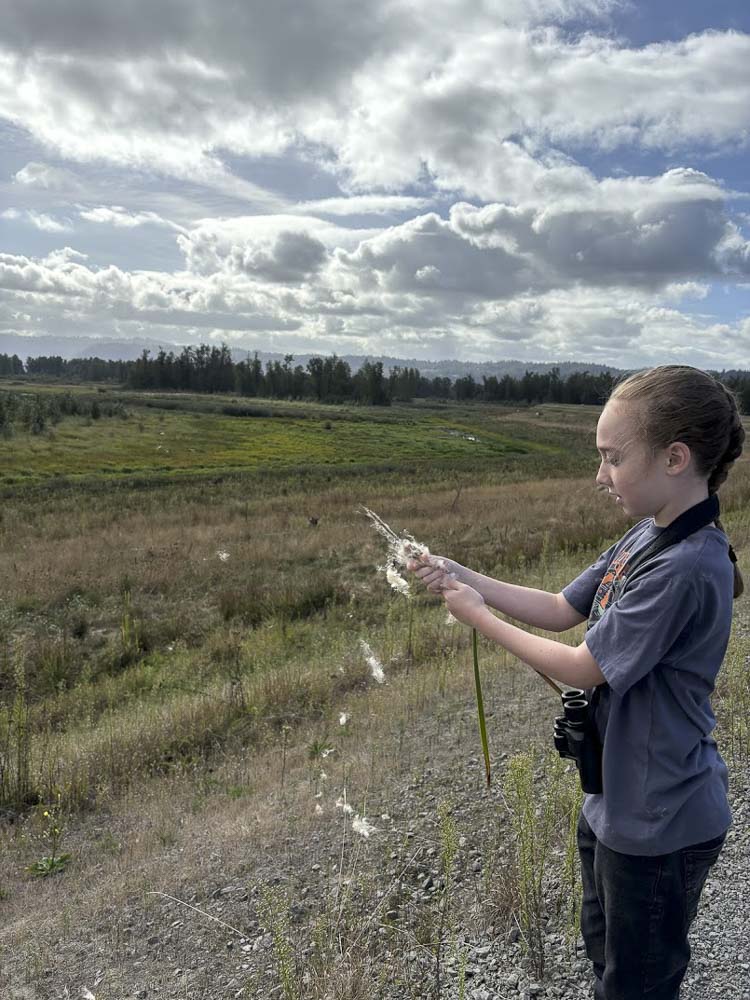 A CRGE fifth grade student explores native plants at Steigerwald Lake National Wildlife Refuge. Photo courtesy Washougal School District