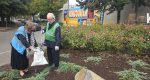 Around 80 volunteers joined SOLVE’s Pick It Up, Vancouver event to clean up downtown and make a difference.