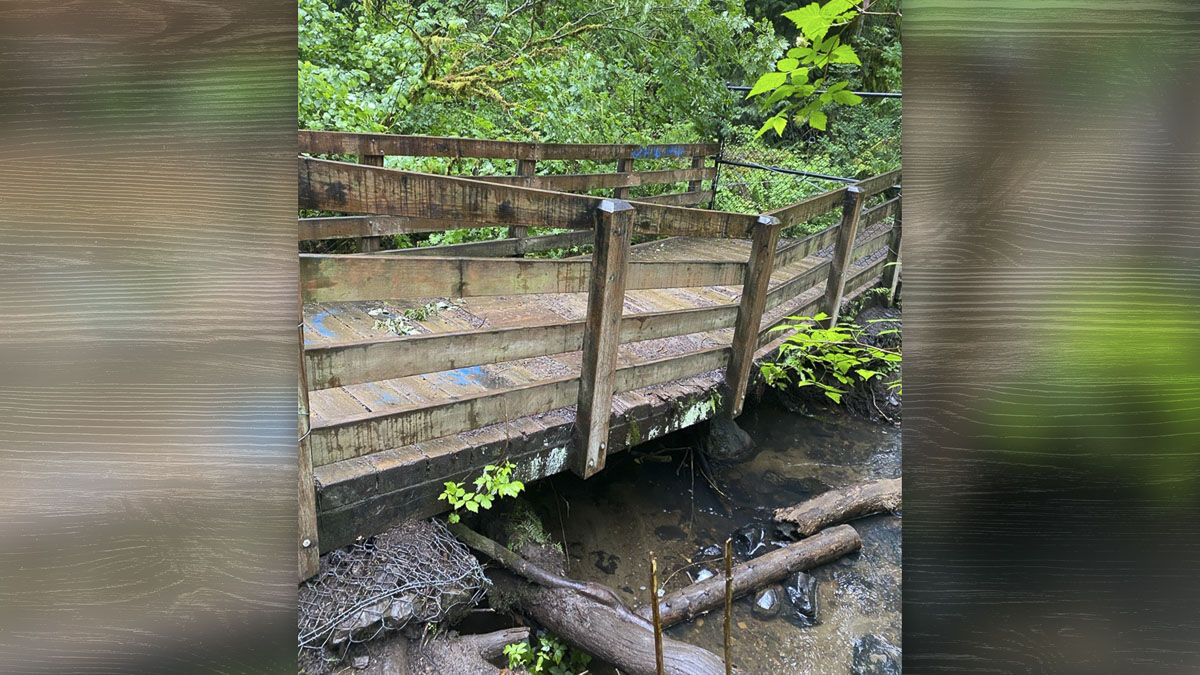 Clark County begins repairs on the trail bridge to the lower falls in Lacamas Regional Park.