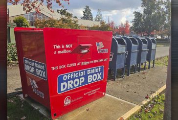 Voters give their points of view from county drop boxes