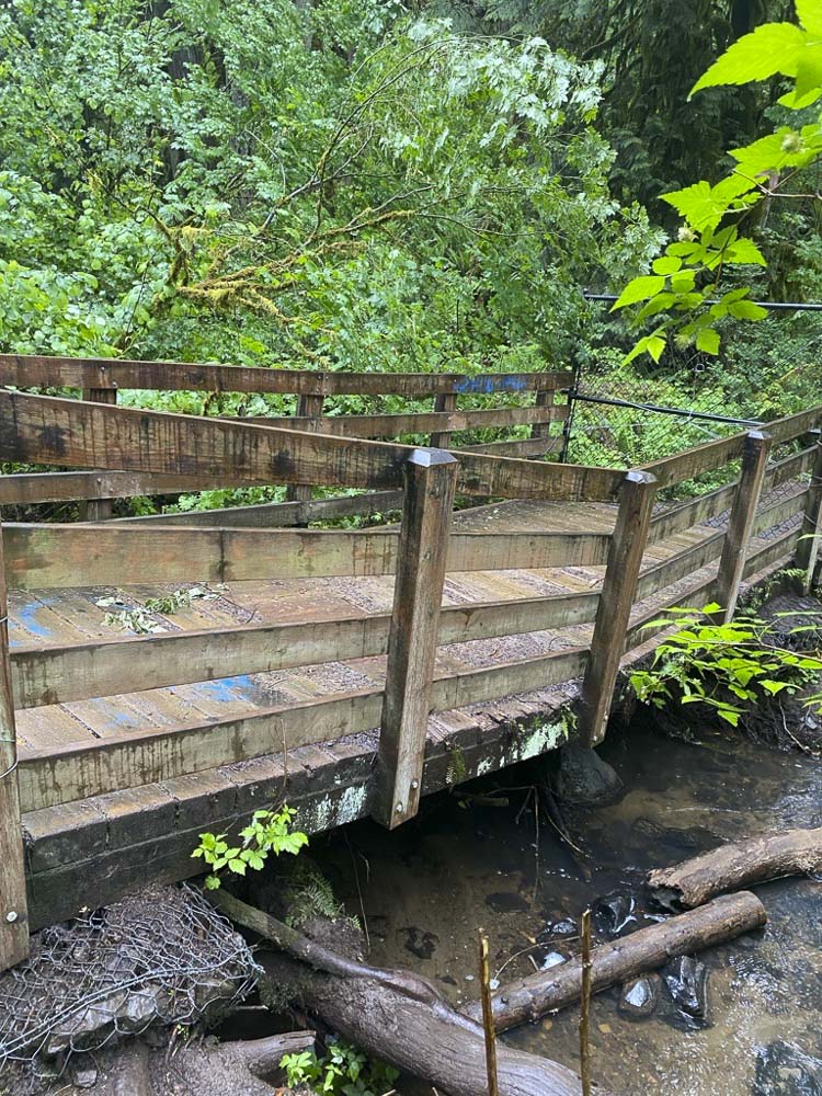 This photo shows the old bridge on the trail to the lower falls in Lacamas Regional Park. Photo courtesy Clark Co. WA Communications