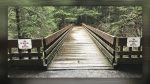 Moulton Falls Regional Park reopens its iconic wood bridge and trail after restoration work to ensure structural integrity and weather protection.