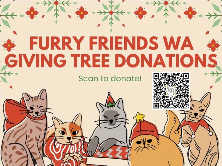 Support Furry Friends' Giving Tree fundraiser to help local cats this holiday season through community-driven donations.