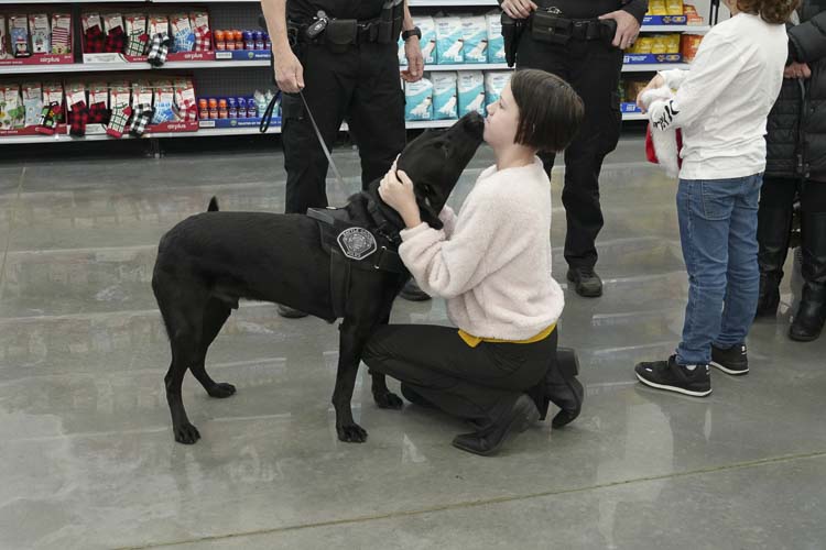 BGPD Comfort Dog Rafferty sharing loves. Photo courtesy city of Battle Ground