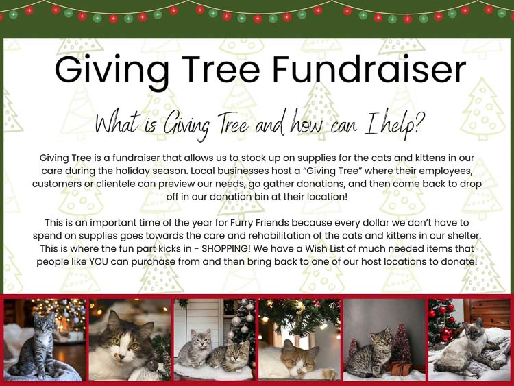 Support Furry Friends' Giving Tree fundraiser to help local cats this holiday season through community-driven donations.