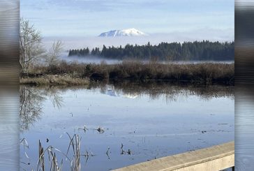 Reminder: More than 30 state parks will offer First Day Hikes on New Year’s Day