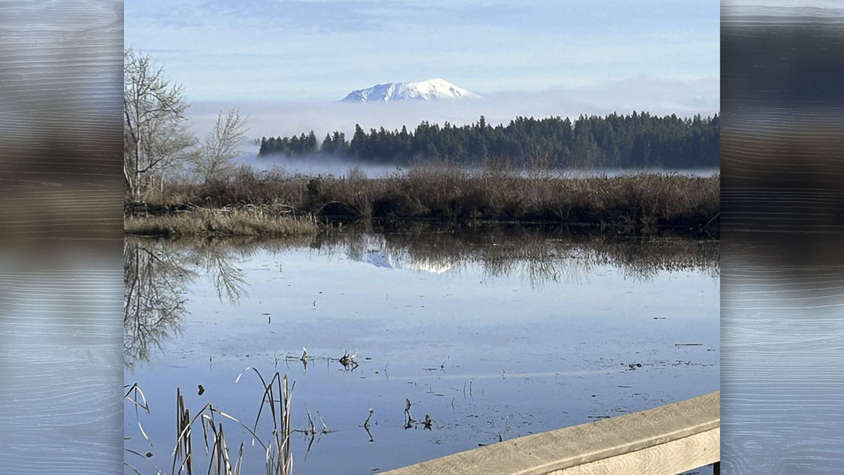 Celebrate the new year with First Day Hikes at over 30 Washington State Parks.