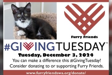 Join in on #GivingTuesday to build a brighter future for Furry Friends