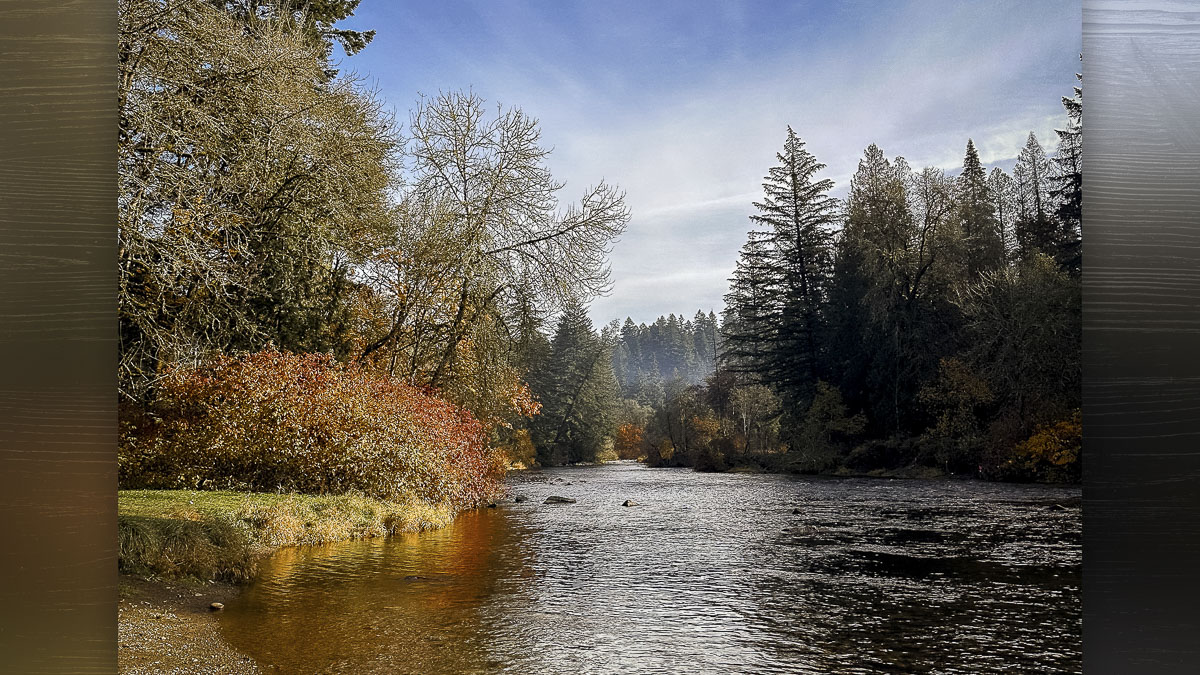 Clark County’s 2025 regional park parking passes are now available, valid through the year for $30.