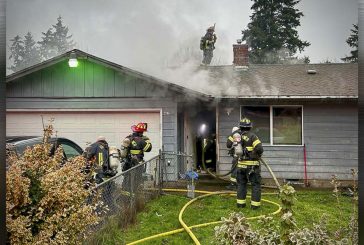 Animals rescued during Vancouver house fire