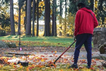 Clark County Public Works planting hundreds of trees in the Minnehaha neighborhood, volunteers invited to help