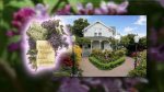 Lilac Days 2025 at Hulda Klager Lilac Gardens celebrates its 50th anniversary with blooms, garden tours, a plant sale, and special events from April 19 to May 11.