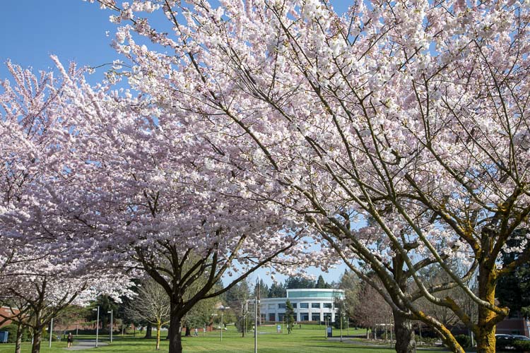 Photo courtesy Clark College Communications