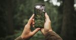 Todd Myers argues that Earth Day should highlight free-market solutions and grassroots innovation as more effective tools for environmental stewardship than top-down mandates.
