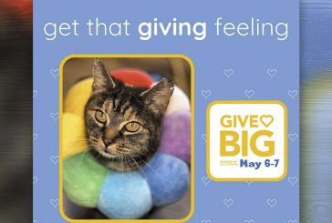 GiveBig is Coming Tuesday, May 6