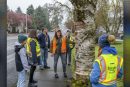 City of Vancouver seeks volunteers to serve on Urban Forestry Commission