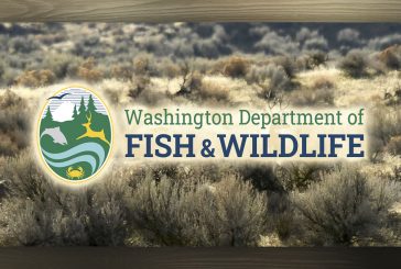 Latest Washington big game hunting regulations and special hunt applications now available