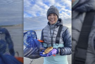 WDFW approves eight days of coastal razor clam digs beginning April 26