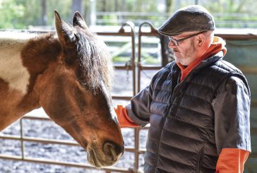 Veterans find healing and trust through horse therapy at Windhaven
